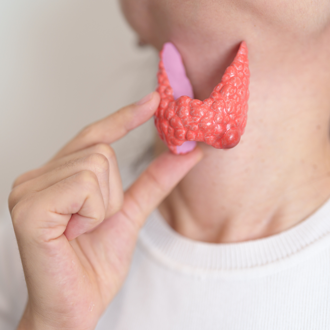 Thyroïde et santé des cheveux